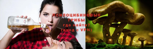 apvp Абаза